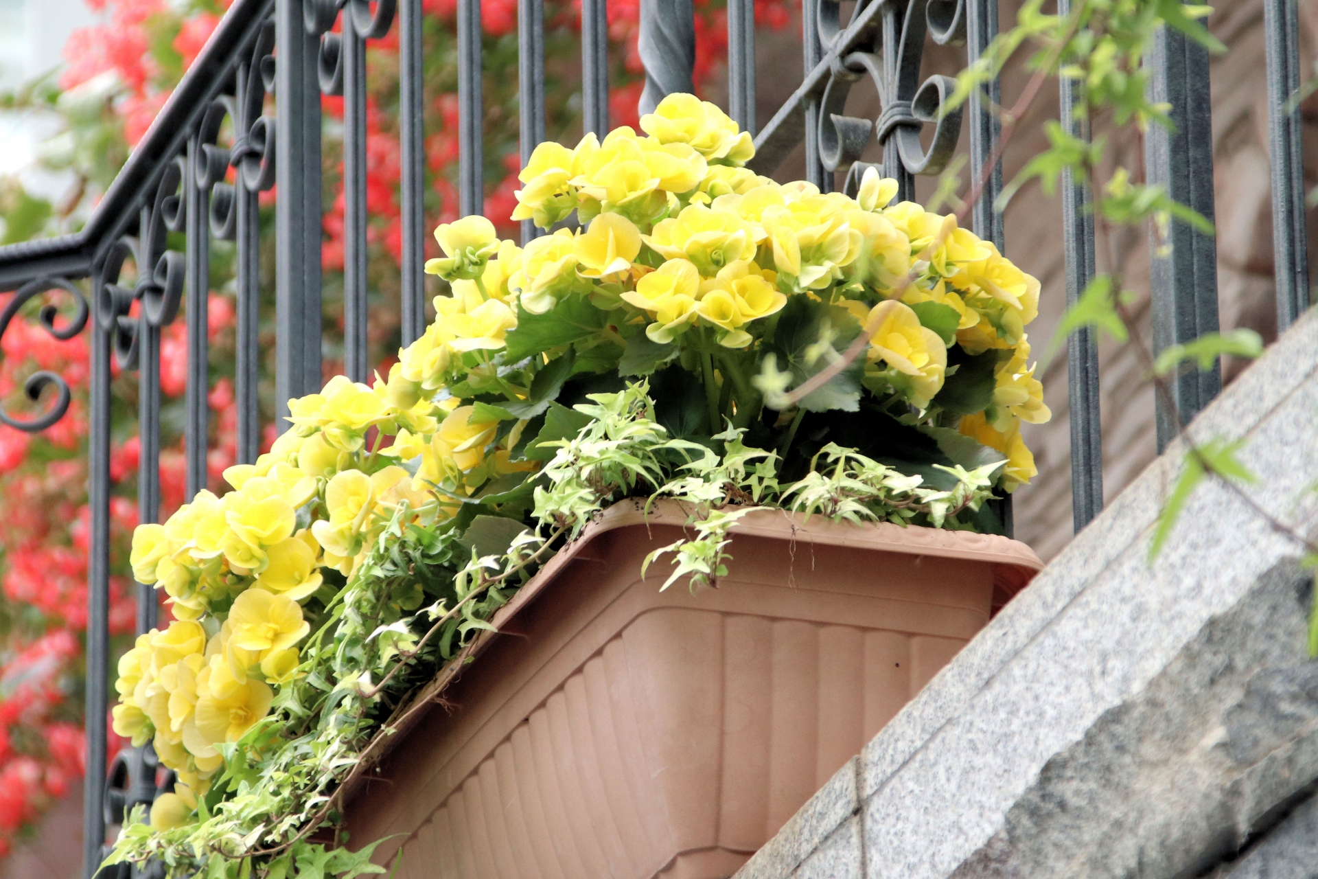 プランター付きフェンスの強風対策で倒れない!台風にも負けない設置方法と選び方 画像