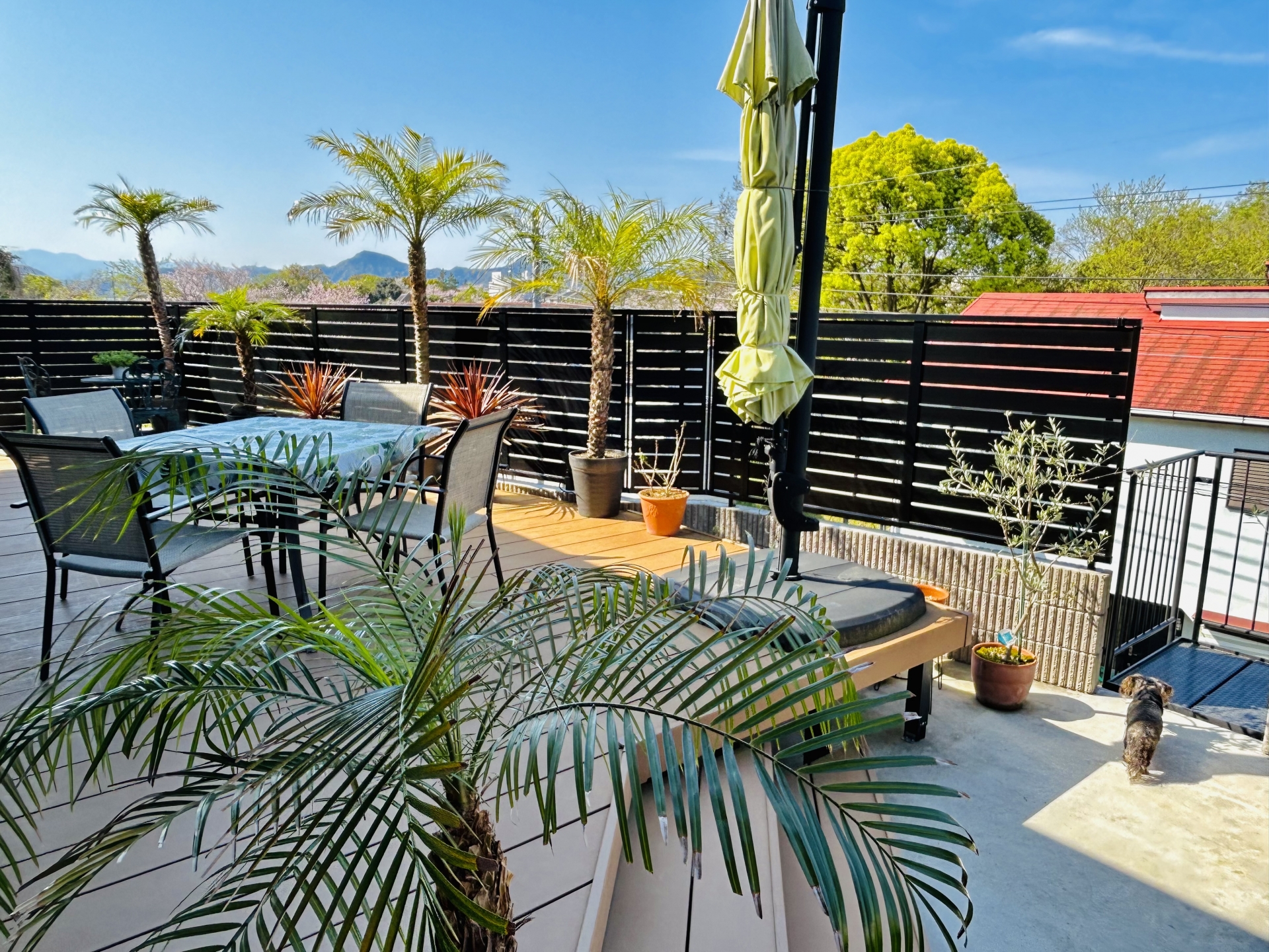 60坪の住宅を予算150万円で外構工事するならどこまでできる？失敗しない費用配分と実例比較で納得の家づくり 画像