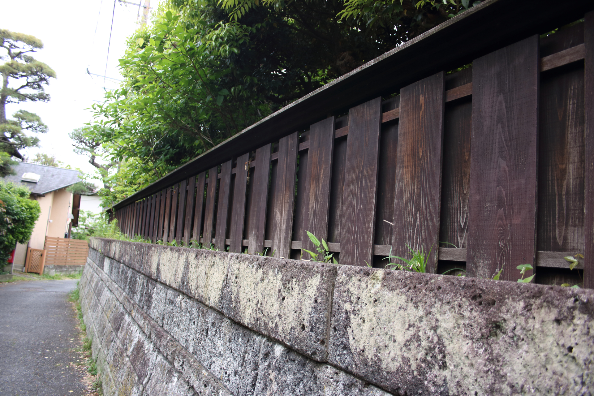 虫がつかない常緑樹で目隠しする裏技！手入れのいらないおしゃれな庭木と外構計画 画像