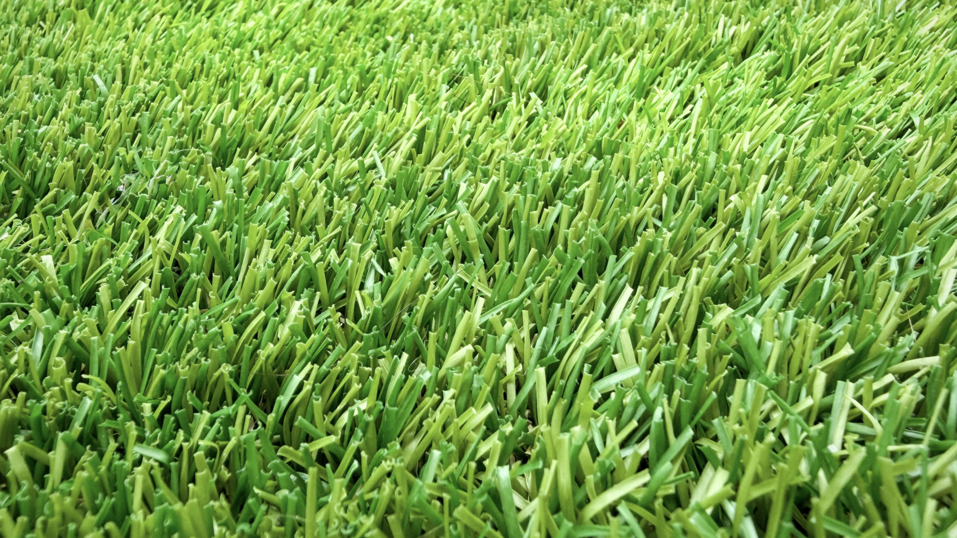 20平米の人工芝の費用を徹底比較！DIYと業者で損しない相場ガイド 画像