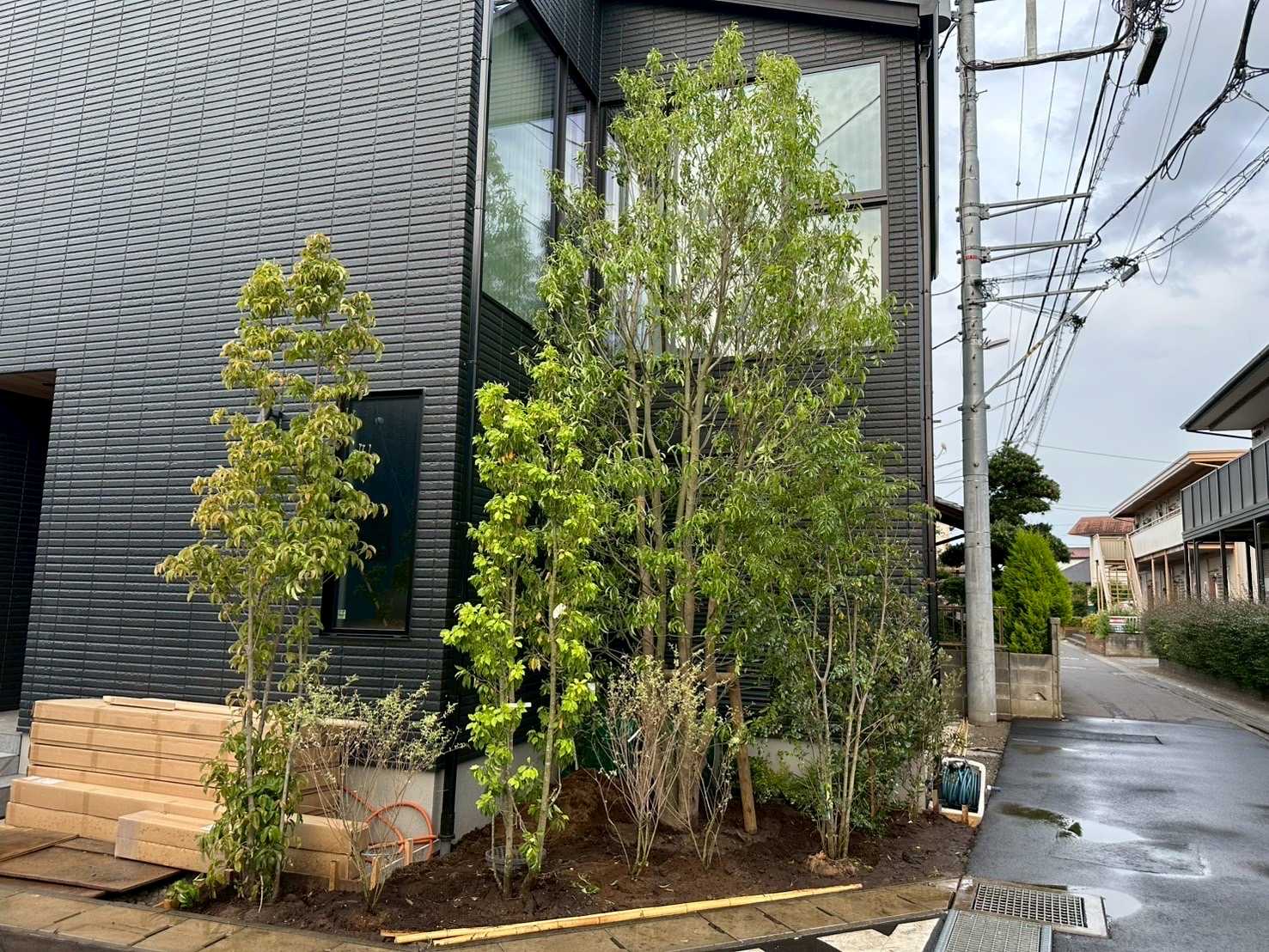 2階まで届く！大きなシンボルツリーのあるお庭🌳 画像