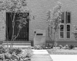 外構　シンボルツリー　写真