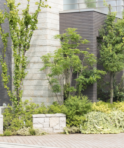 植栽・シンボルツリー