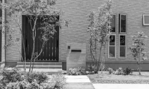 外構　シンボルツリー　写真