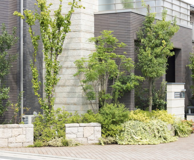 植栽・シンボルツリー