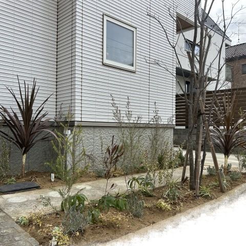 おうちの印象がガラッと変わる！植栽のリフォーム工事🔨 アイキャッチ画像