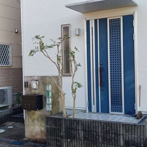 もしゃもしゃのお庭🌳をすっきりきれい✨に伐採しました アイキャッチ画像